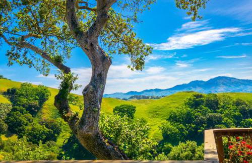 Relax and Rejuvenate- Lafayette Treehouse with Cave Spa, Waterfall, and Incredible Views - Foto 57