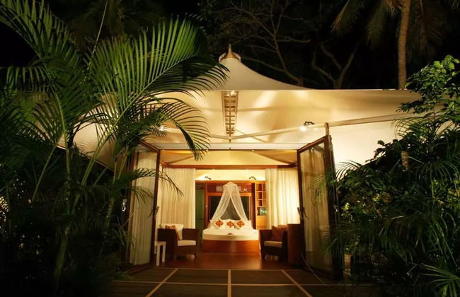 The Fiji Orchid - Foto 5