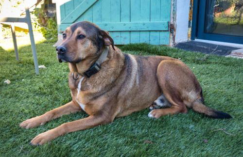 Chambre spa privé Arles campagne - Foto 22