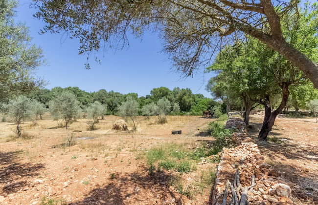 Casa Cascada - Adults only - Photo 43