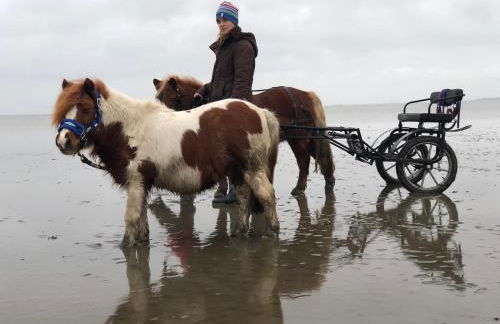 Minsener Warft - Photo 51