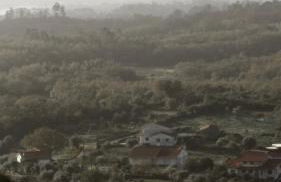 M Butterfly - Foto 22