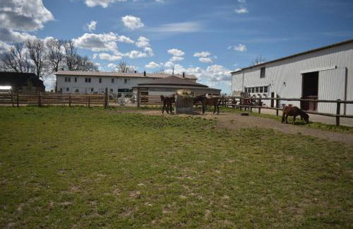 Idylle auf dem Reiterhof bei Husum - Foto 1