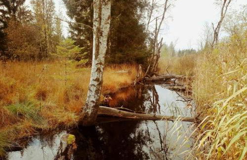 5Sterne Ferienwohnung im Fachwerk mit Bergblick in Alleinlage und großem Garten, Infrarotkabine - Foto 43