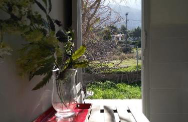 Palm tree house by the beach - Foto 18