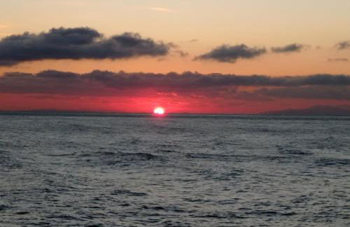 Guesthouse To kalivi - Foto 27