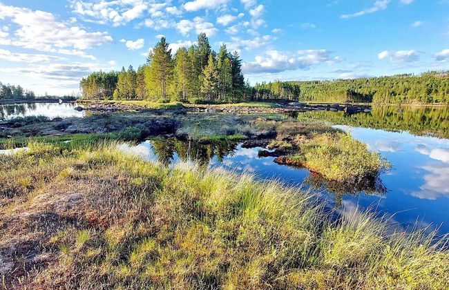 4 Person Holiday Home in Malung-by Traum - Foto 12