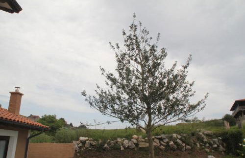 Casa vacacional Escuela la Llera - Foto 12