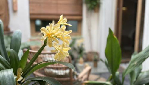 Montroig 5 hotel boutique - Foto 5