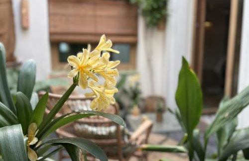 Montroig 5 hotel boutique - Foto 5