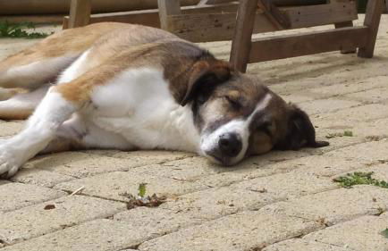 Toscana da Sogno a Villa Allegria - Foto 49