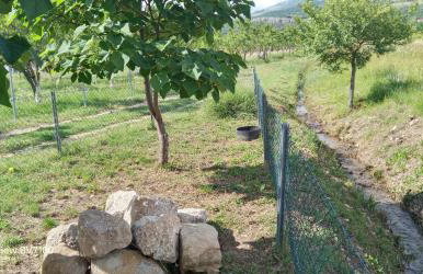 STONE HOUSE VLASTA - Foto 64