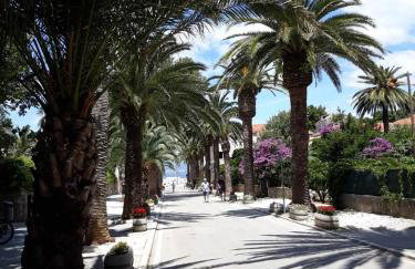 Dalmatino - apartment 6 - Photo 43