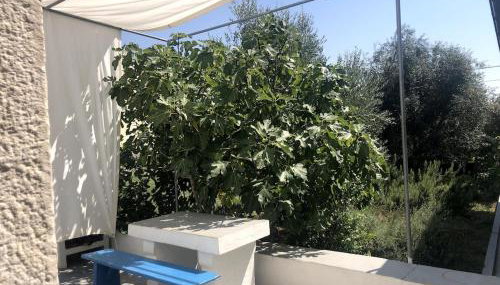 House CresWien 01 Martinšćica - Foto 3