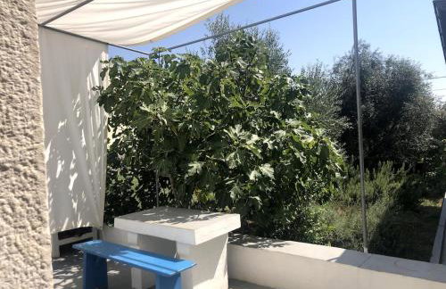 House CresWien 01 Martinšćica - Foto 3