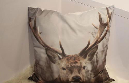 Feldberg Kuschelnest - Residenz Grafenmatt - Foto 45