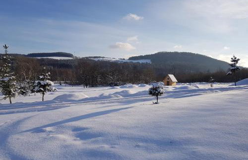 Ośrodek Wczasów Zdrowotnych Rudawka Rymanowska - Foto 20