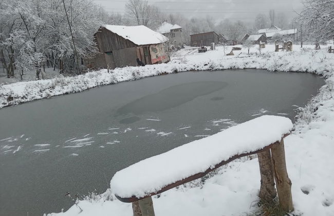 Room in Guest Room - Healthy Retreat Holiday in Mountain - Foto 80