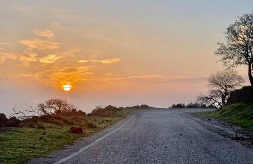 Lava House - Foto 28