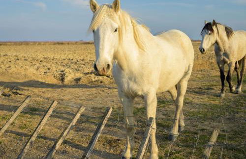 "Yunahouse" Vue sur les Salins Roses - Foto 10