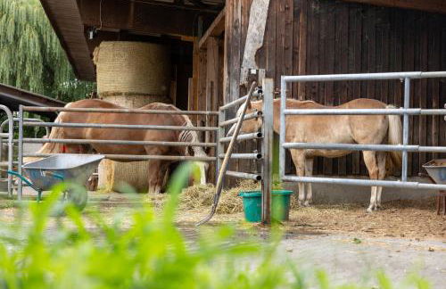 Ferienwohnung in ländlicher Lage - Foto 25