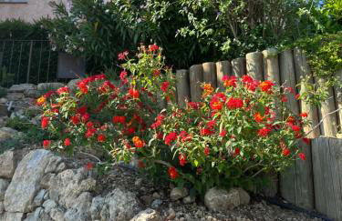 Les Amandiers - Foto 25