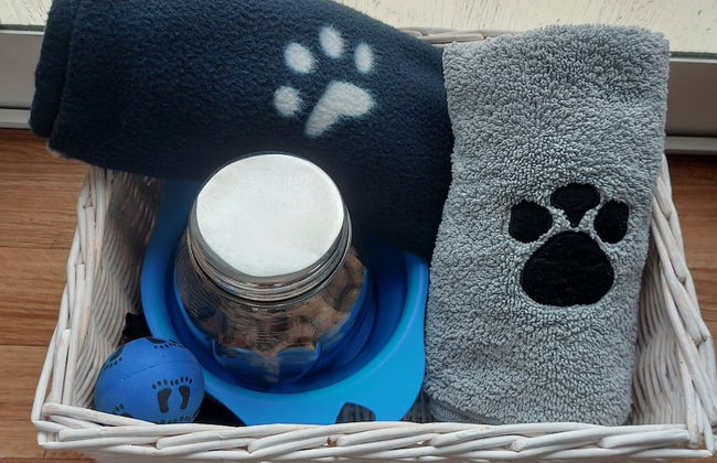 Dog Friendly Caravan on the Northumberian Coast - Photo 5