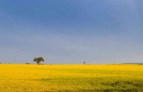 Penthaus Regine - Foto 10