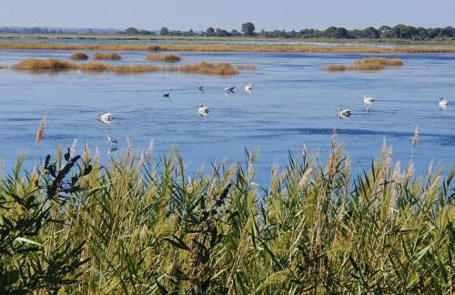 PETROS ROOMS to LET KALOGRIA BEACH - Foto 16