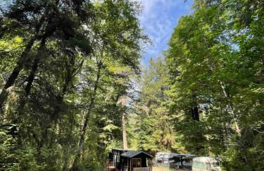 The Black Bear Cabin - Foto 11