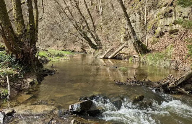 Ferienwohnung mit Garten auf dem Bauernhof - Foto 18