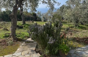 Haus im Olivenhain direkt am Meer - Foto 31