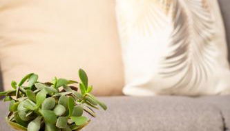 boardinghouse44 - Foto 4