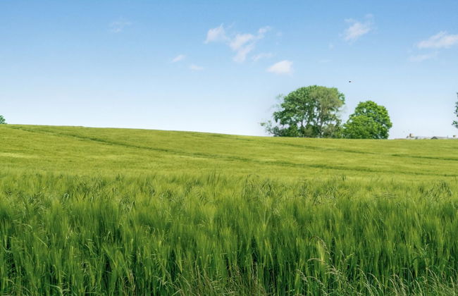 "Thorwer" - 250m from the sea - Foto 3