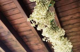 Alexandra Homestay - Foto 58