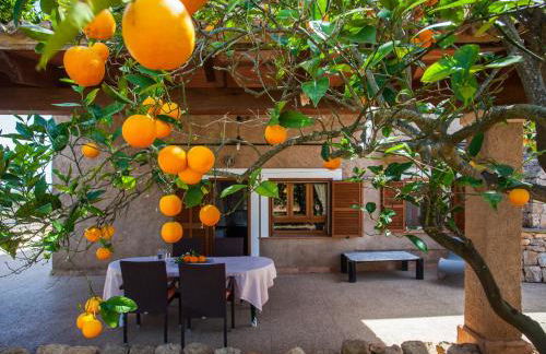 Sa Volta Nova - Foto 30