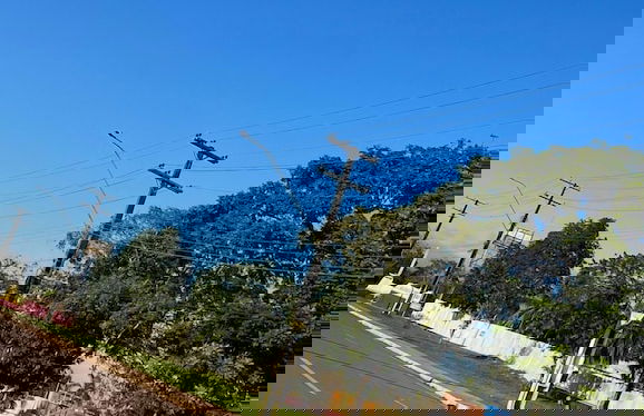 Pedro Alexandre Da Costa - Photo 18