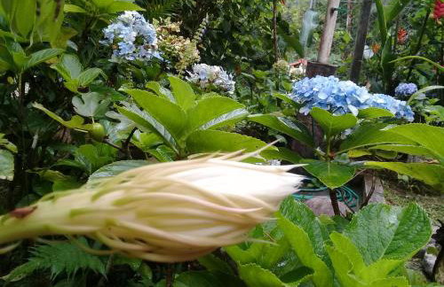 Mansão Adonai nas Cachoeiras de Penedo - Photo 16