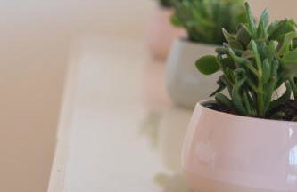 Seafront apartment in Villa , near Rome - Foto 16