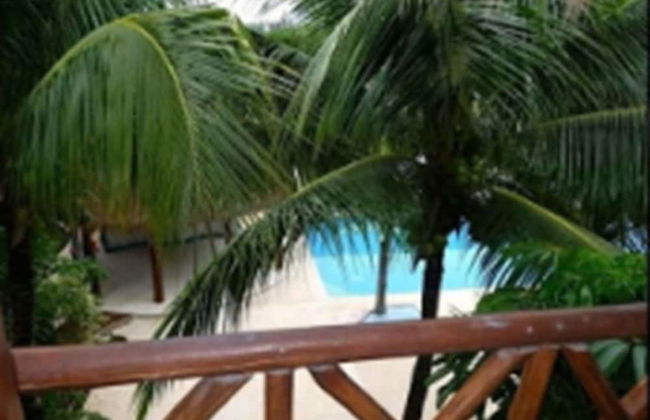 Casa bellissima Les Alisez - Photo 10