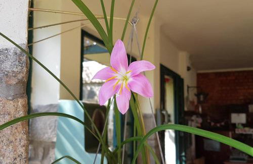 Residencial Flor- Hilda - Foto 28