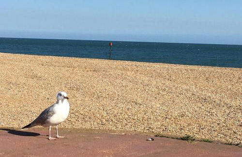 The Lookout - Foto 20