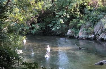 Parc Baie des Anges - Foto 47