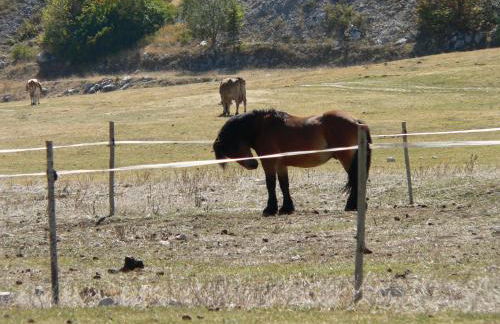 Guest Art Campitello Matese - Foto 67