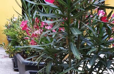 Dream & Fly Apartments - Foto 25