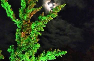 CHALÉ DO VALE - EXCLUSIVIDADE E CONFORTO!! - Foto 49