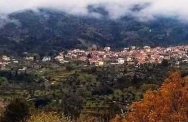 Petrino Minimal - Foto 56