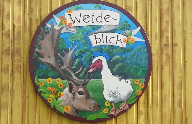 Gypsy Caravan in Weideblick With Farm Animals - Foto 22