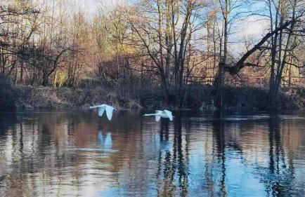 Nad Rzeczką - Foto 1