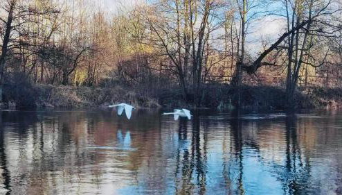 Nad Rzeczką - Foto 1